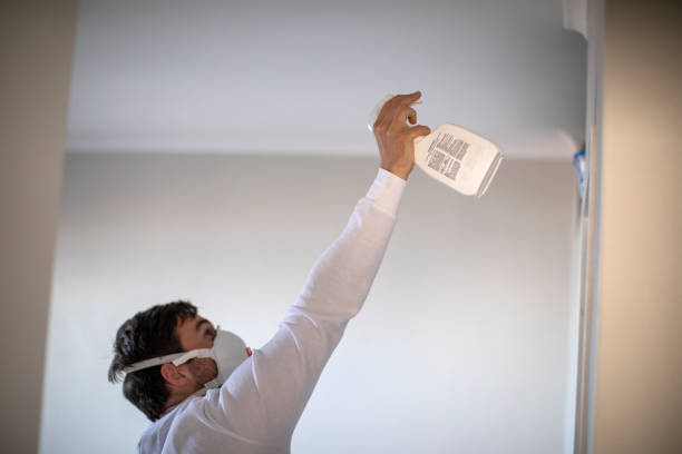 Best Commercial Mold Removal  in St Stephen, SC